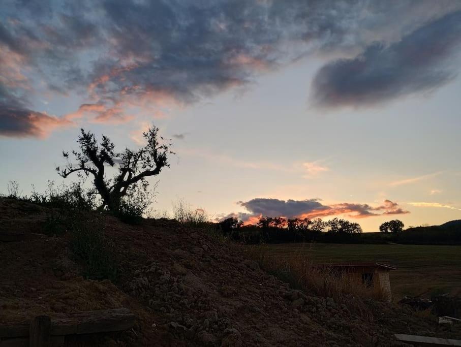 Appartamento Casal Del Sole - L'Ulivo Montefelcino Esterno foto